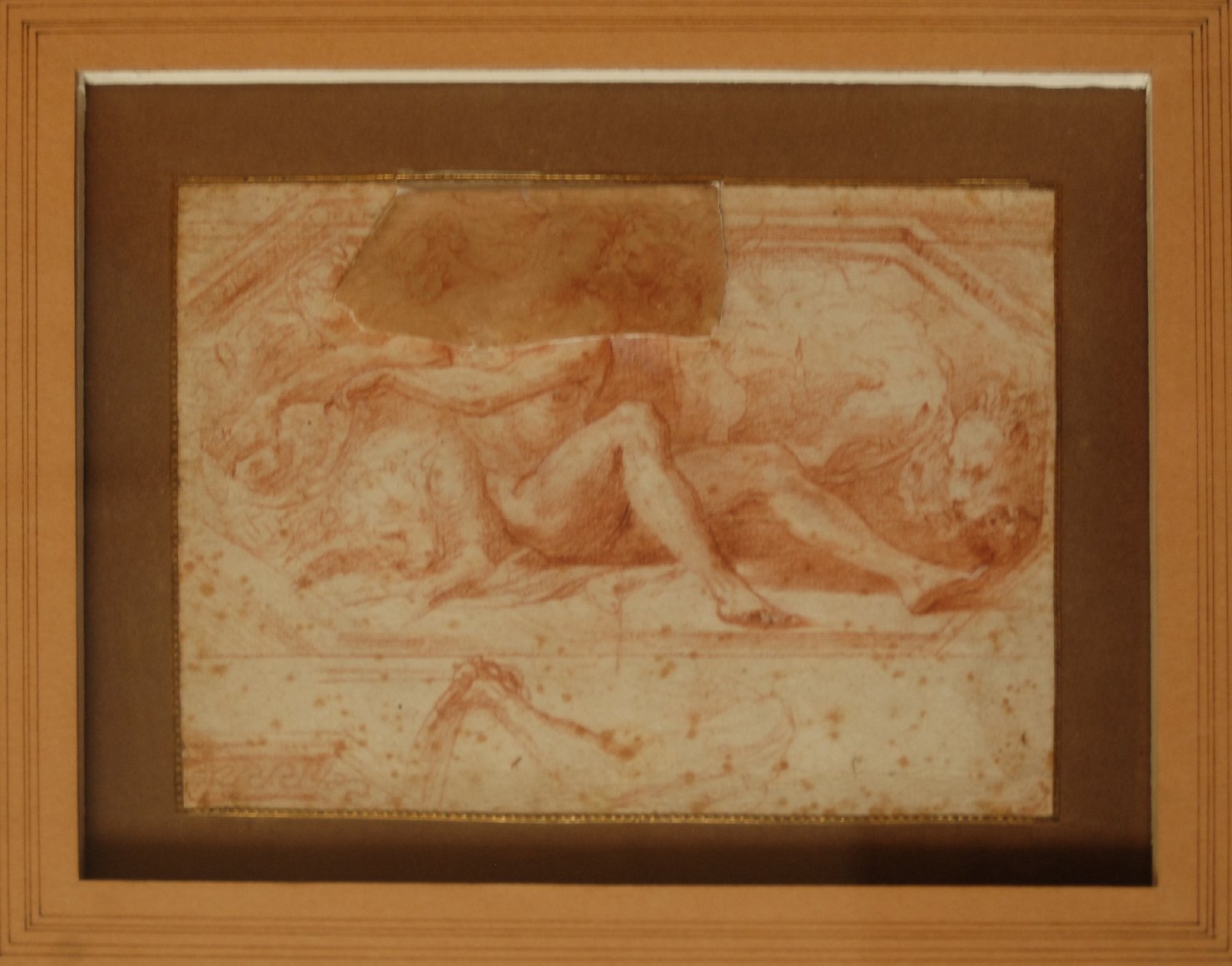 Daniele nella fossa dei leoni (disegno preparatorio, opera isolata) di Mazzola F